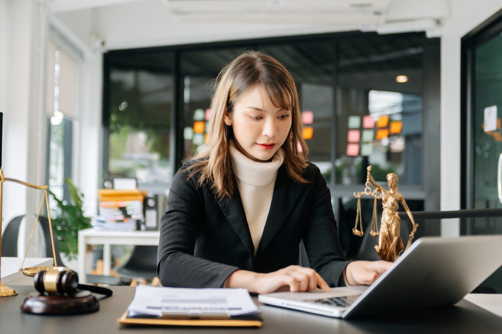 Public Access File (PAF) Compliance Why It Matters & How Virtual Paralegals Help