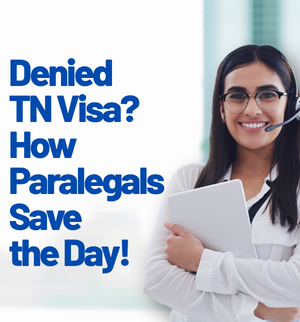 tn-visa-denial-reapplication-support